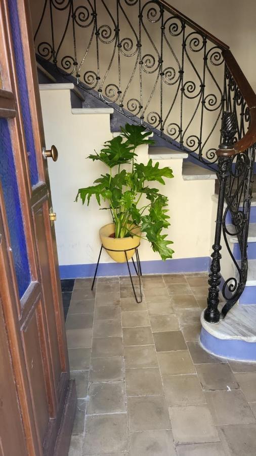 Romantic House Spettacolare Vista Mare Unica Nel Suo Genere 알게로 외부 사진